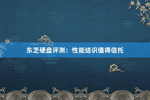 东芝硬盘评测：性能结识值得信托